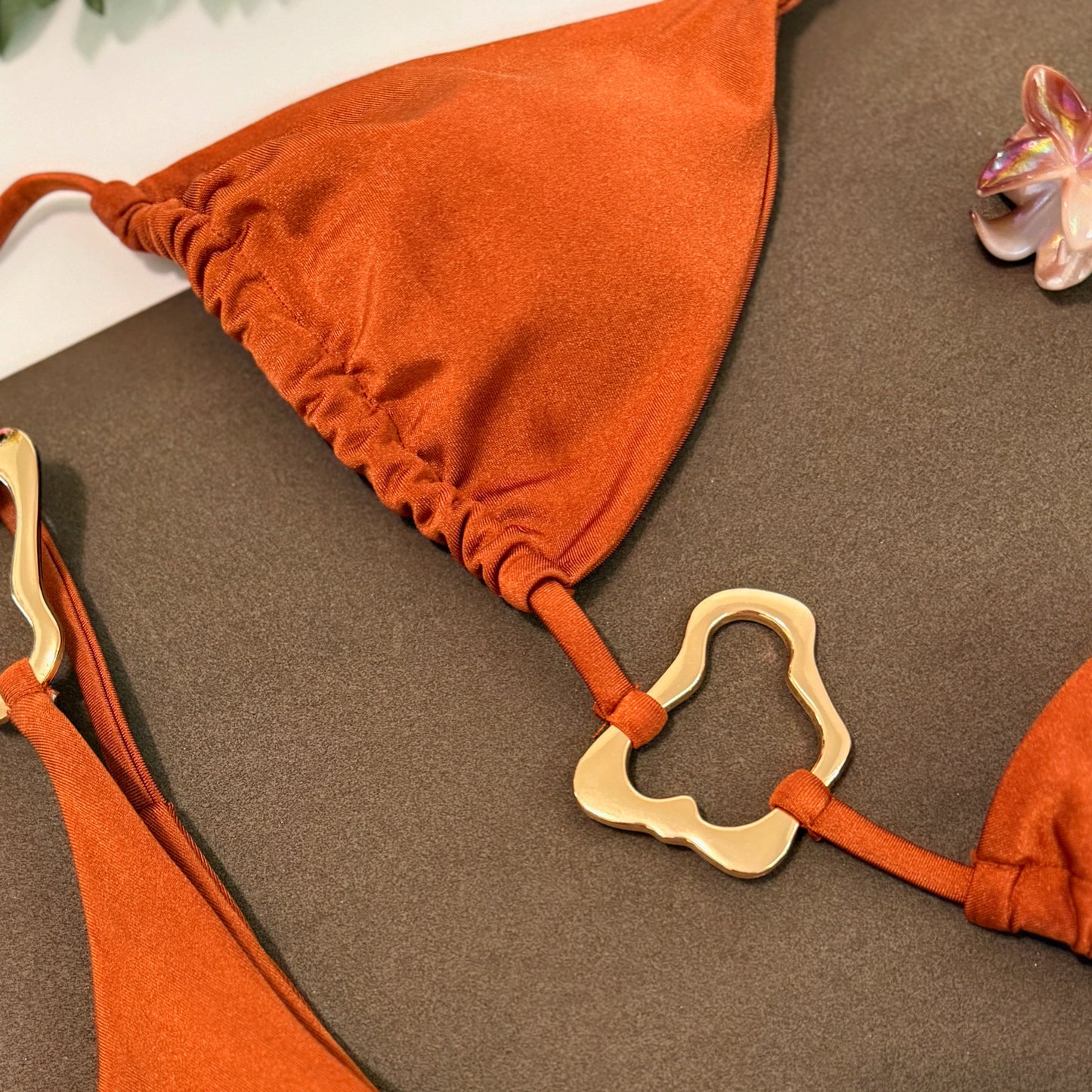 Bikini Tierra